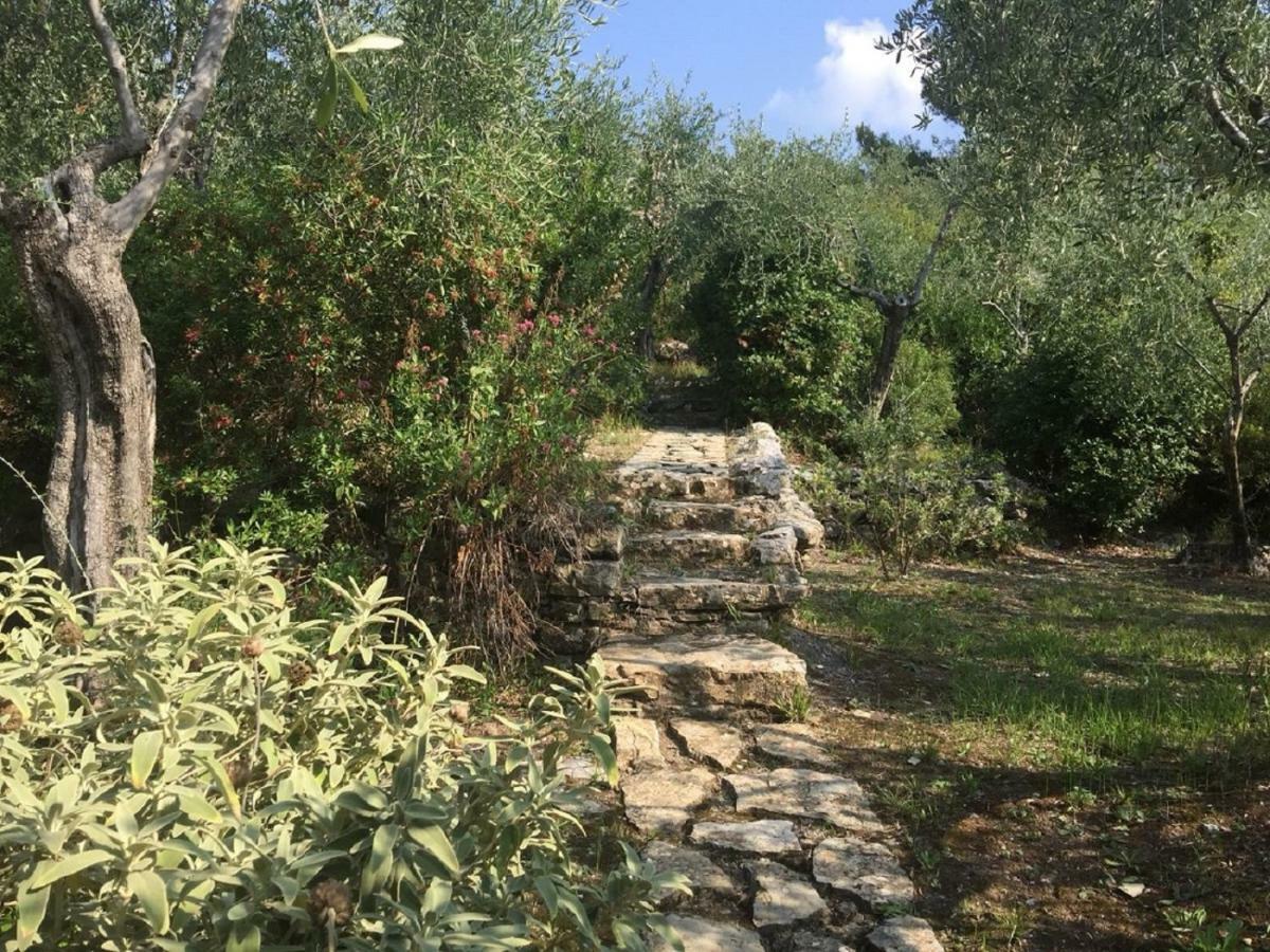 Villa Percy Lubbock La Spezia Kültér fotó